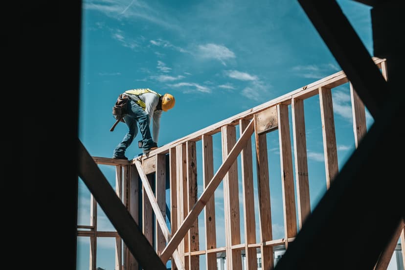 Professional construction service