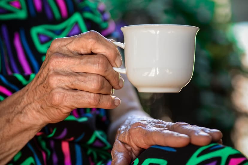Professional hospice service