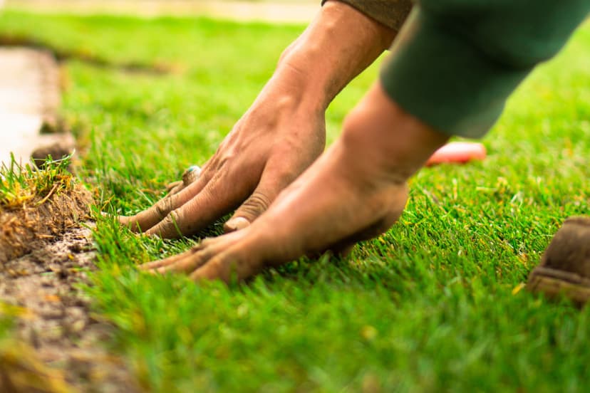Professional landscaping service