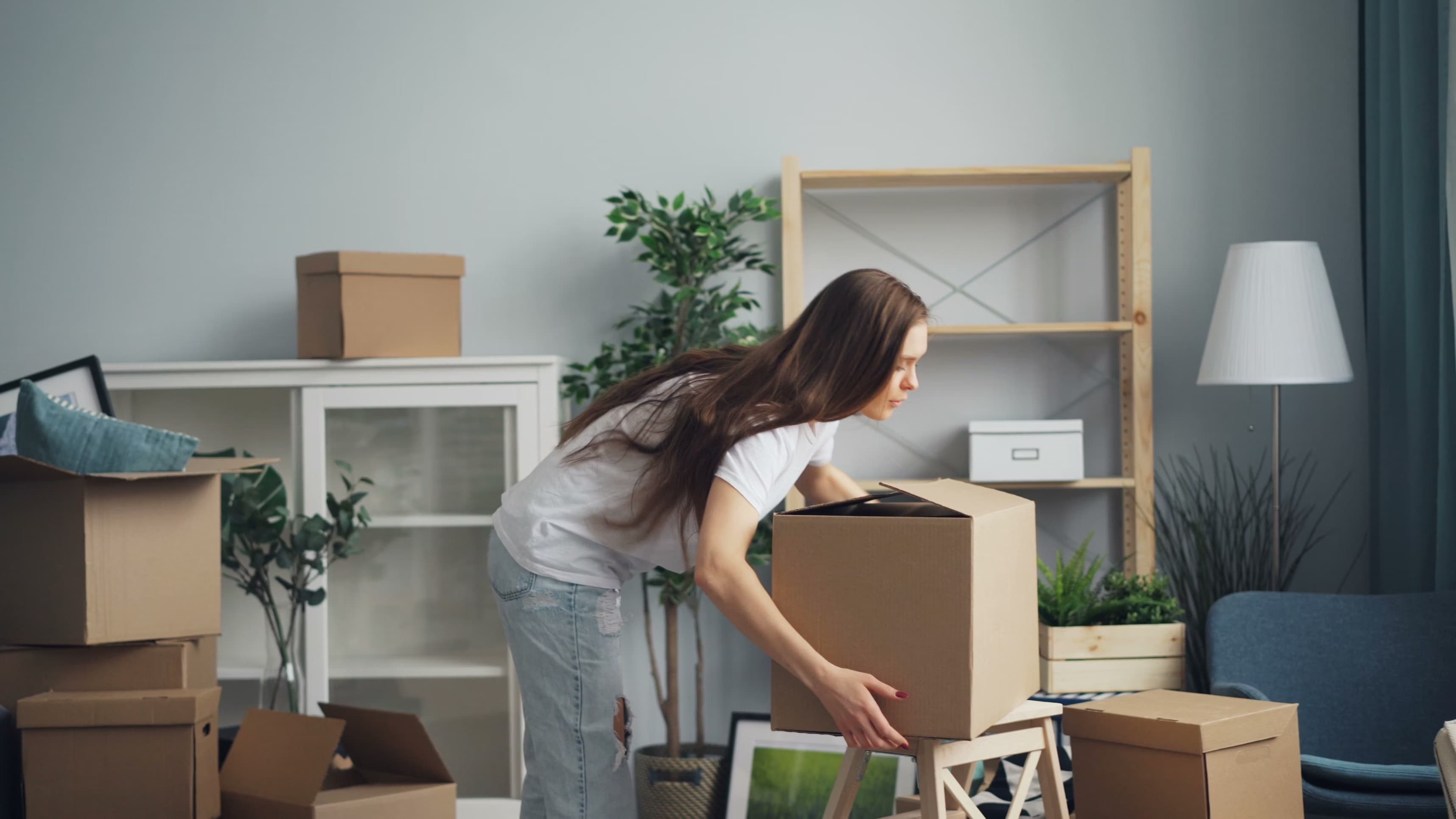 Professional moving company service