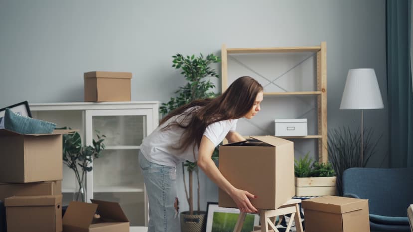 Professional moving company service