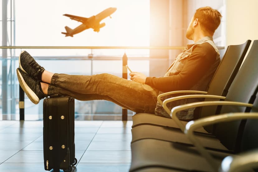 Professional travel agent service